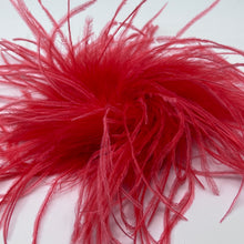 Load image into Gallery viewer, Cozy Brooch